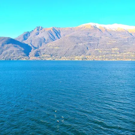 Blue Starlake Bellano